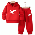 Flying Eagle Fleece Hoodie Tracksuit - Kin Trends