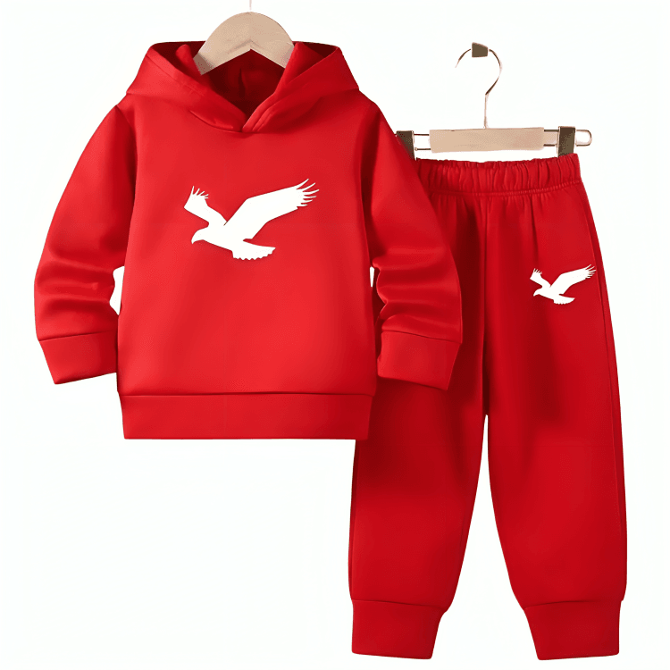 Flying Eagle Fleece Hoodie Tracksuit - Kin Trends